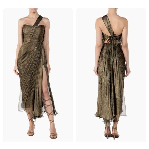 Maria Lucia Hohan Dresses & Skirts - Maria Lucia Hohan Maia Metallic Mousseline Silk Dress